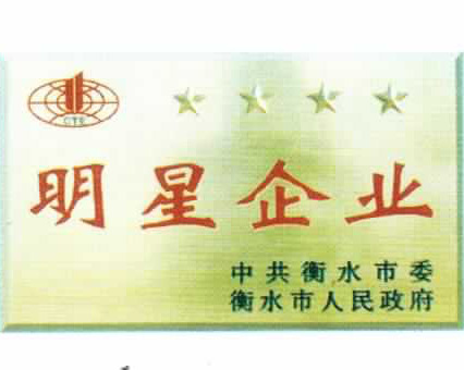 明星企業(yè)